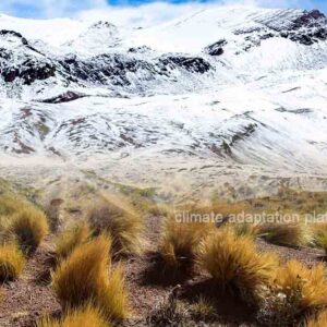 How Climate Change Impacts Directly and Cascadingly the Andes