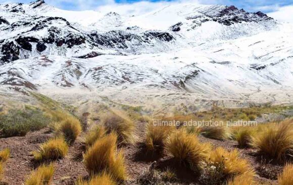 How Climate Change Impacts Directly and Cascadingly the Andes