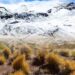 How Climate Change Impacts Directly and Cascadingly the Andes