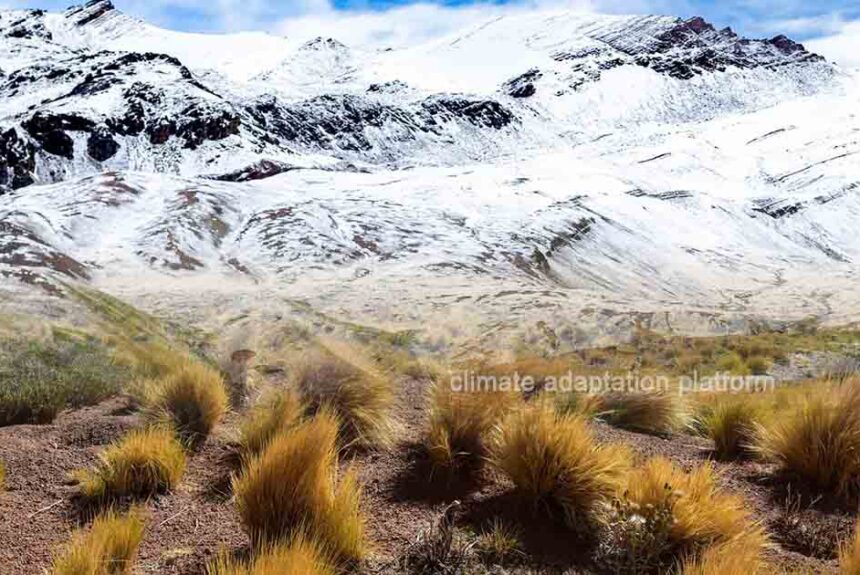 How Climate Change Impacts Directly and Cascadingly the Andes
