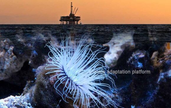 climate adaptation Deep Sea Mining is on the Rise Deep Sea Mining Rises—At What Cost to Our Oceans?