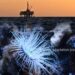 Deep Sea Mining Rises—At What Cost to Our Oceans?
