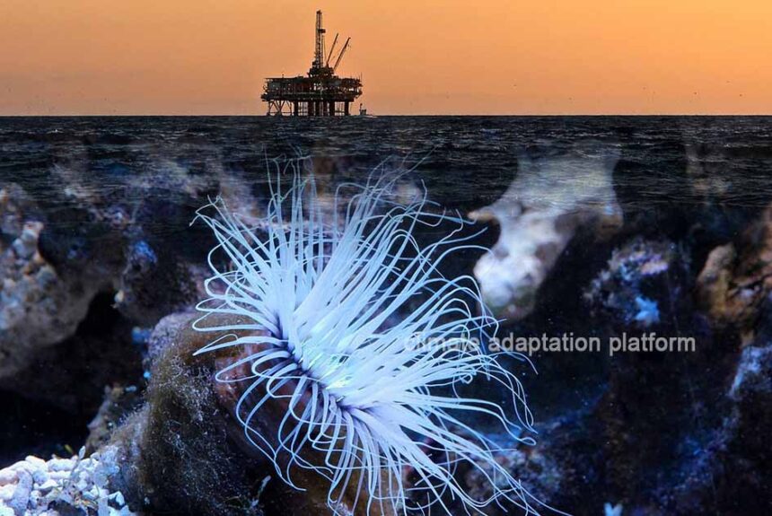Deep Sea Mining Rises—At What Cost to Our Oceans?