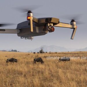 AI-Powered Drones Are Transforming Biodiversity Conservation