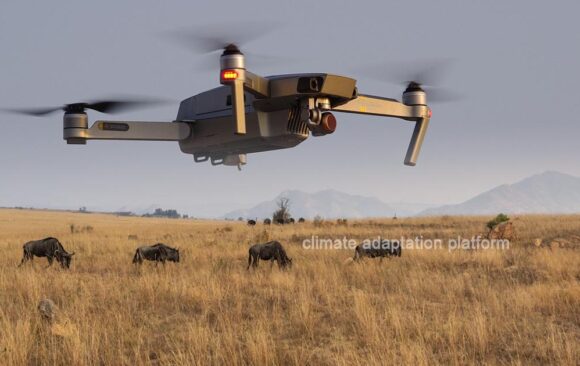 climate adaptation Drones Equipped With AI AI-Powered Drones Are Transforming Biodiversity Conservation