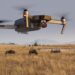 AI-Powered Drones Are Transforming Biodiversity Conservation