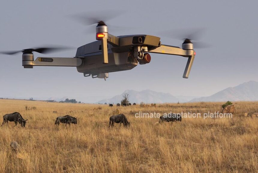 AI-Powered Drones Are Transforming Biodiversity Conservation
