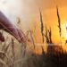 Eelgrass Cultivation as a Sustainable Climate Adaptation Solution