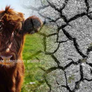 The Environmental Cost of Dairy and Plant-Based Milks