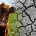 The Environmental Cost of Dairy and Plant-Based Milks