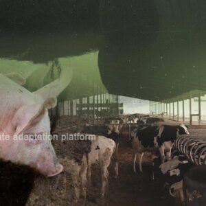 climate adaptation Manure-Linked Contamination