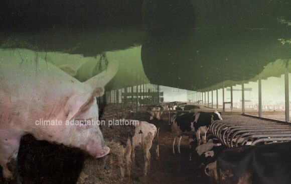 climate adaptation Manure-Linked Contamination