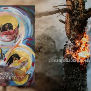 Climate Change and Indigenous Knowledge-Based Solutions
