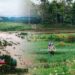 Why Smart Climate Adaptation Investments Deliver Huge Payoffs