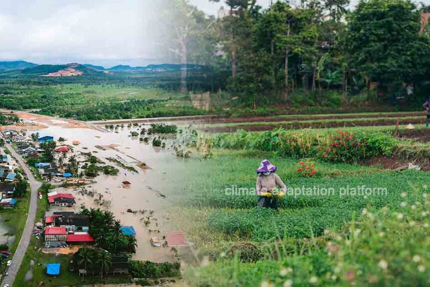 Why Smart Climate Adaptation Investments Deliver Huge Payoffs