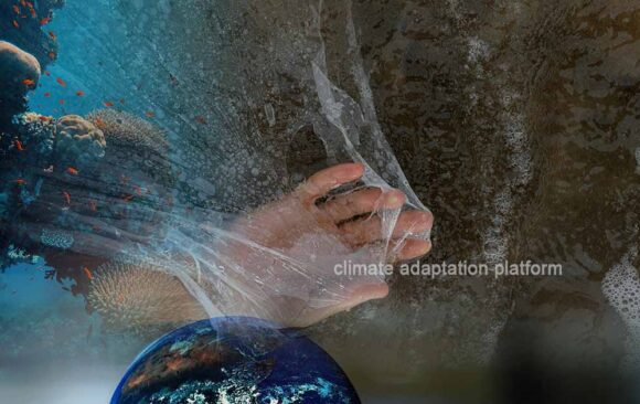 climate adaptation Global Push to Protect High Seas Treaty Gains Momentum at 3rd UN Ocean Conference