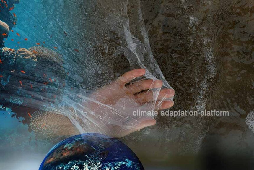 High Seas Treaty Gains Momentum at 3rd UN Ocean Conference