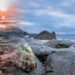 How Limpets Mitigate Climate Change and Help Coastal Ecosystems