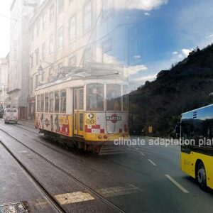 Countries Leading the Charge in Electric Bus Usage