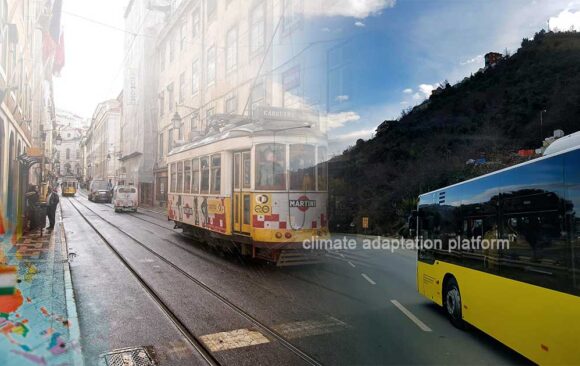 Countries Leading the Charge in Electric Bus Usage