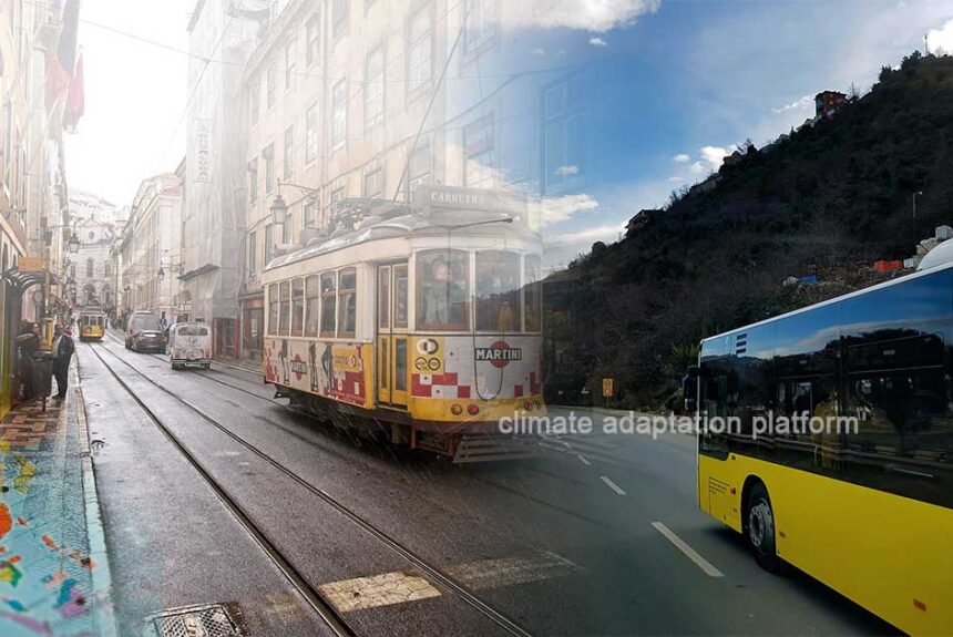 Countries Leading the Charge in Electric Bus Usage