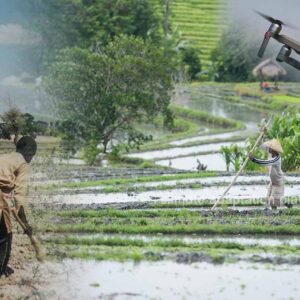 How Climate Smart Agriculture Supports Sustainable Farming