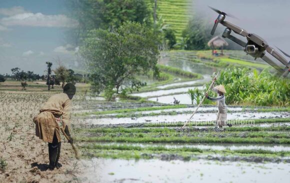 How Climate Smart Agriculture Supports Sustainable Farming