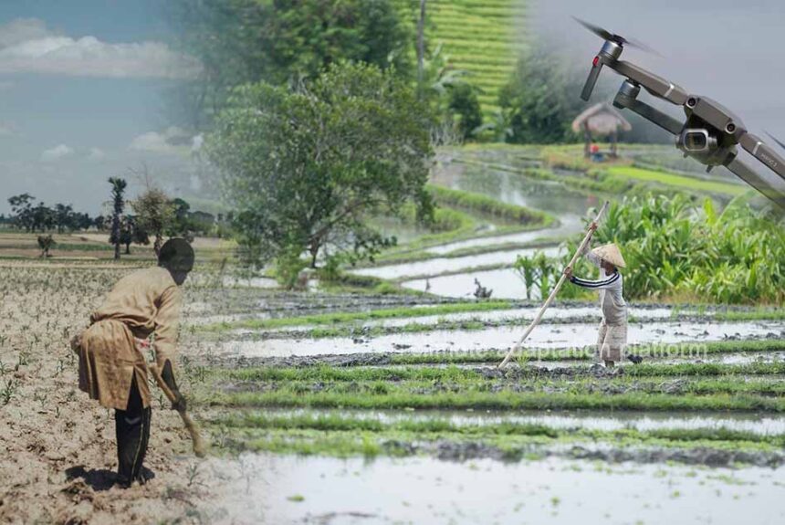 How Climate Smart Agriculture Supports Sustainable Farming