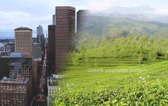 climate adaptation Household Shifts to Low-Carbon How Household Lifestyles Can Cut Global Carbon Emissions
