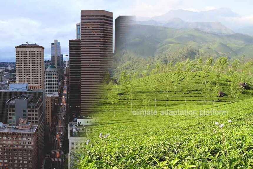 How Household Lifestyles Can Cut Global Carbon Emissions