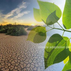 What Crossing the 1.5°C Limit Means for the Planet’s Future