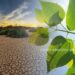 What Crossing the 1.5°C Limit Means for the Planet’s Future