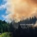 he Powerful Role of Grasslands in Mitigating Climate Change