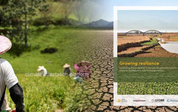 Nature-Based Solutions for a Climate Resilient Sub-Saharan Africa