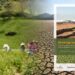 Nature-Based Solutions for a Climate Resilient Sub-Saharan Africa