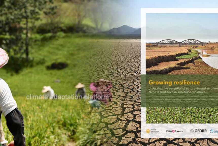 Nature-Based Solutions for a Climate Resilient Sub-Saharan Africa