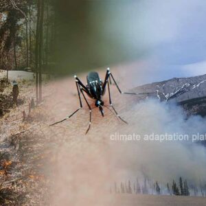 Is Climate Change Causing Disease Rise in the Pacific and Africa?