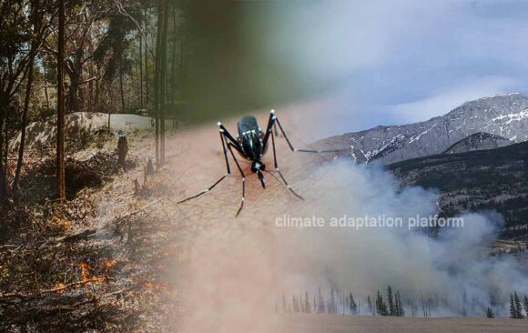 climate adaptation Climate Change, a Catalyst Is Climate Change Causing Disease Rise in the Pacific and Africa?