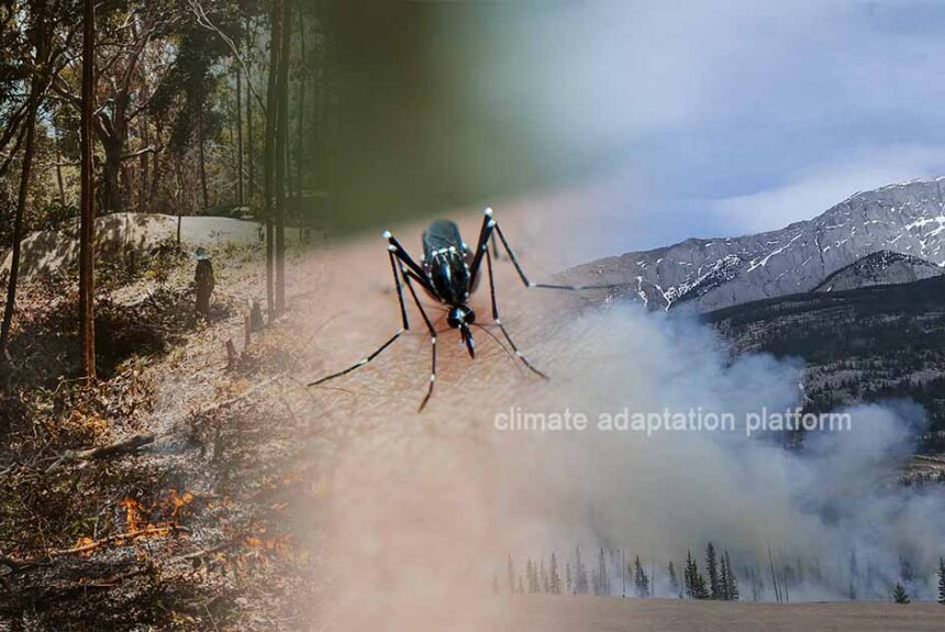 Is Climate Change Causing Disease Rise in the Pacific and Africa?
