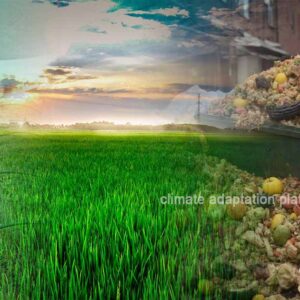Understanding Food Waste and How to Reduce It