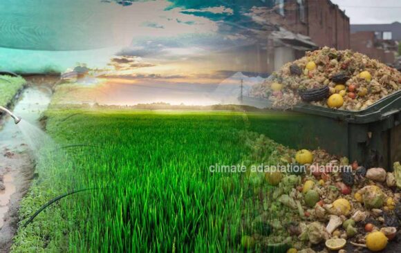 Understanding Food Waste and How to Reduce It