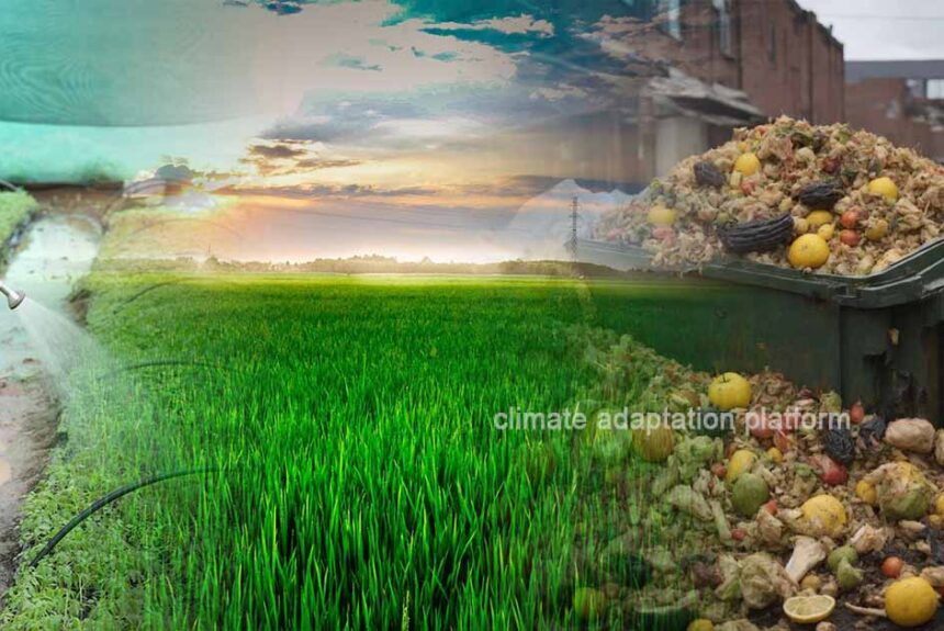 Understanding Food Waste and How to Reduce It