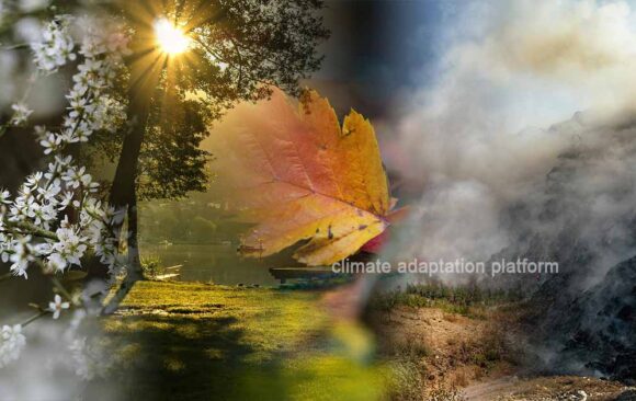 How Human Activities Affect the Seasons and Climate Patterns
