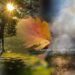 How Human Activities Affect the Seasons and Climate Patterns