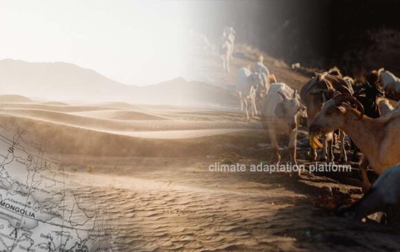 ADB Grant Boosts Climate Adaptation for Mongolian Herders