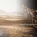 ADB Grant Boosts Climate Adaptation for Mongolian Herders