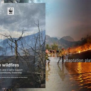 Indigenous Knowledge Offers Effective Wildfire Prevention Strategy