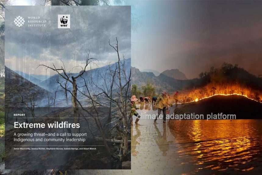 Indigenous Knowledge Offers Effective Wildfire Prevention Strategy