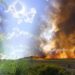 How Winemakers are Adapting to Climate Change