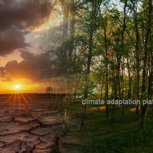 Climate Actions and Initiatives Impact Africa’s Climate Adaptation